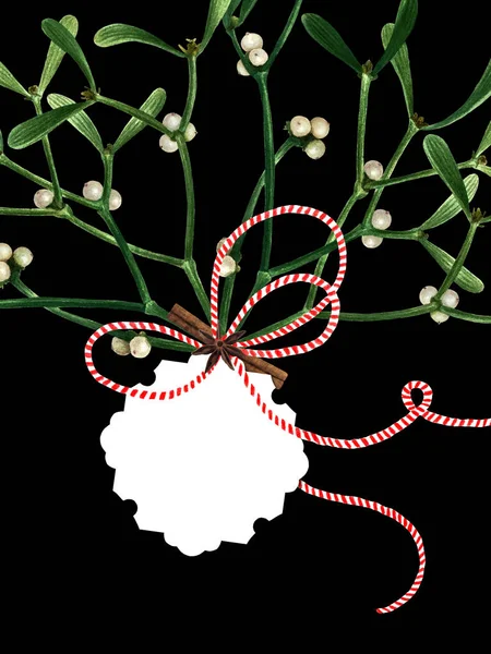 Hälsning Julkort Med Mistel Isolerad Svart Bakgrund Akvarell Vykort Med — Stockfoto