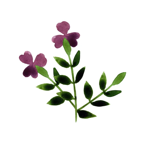 Handritade Akvarell Blomsterarrangemang Isolerad Vit Bakgrund Blommig Bukett Söt Naiv — Stockfoto