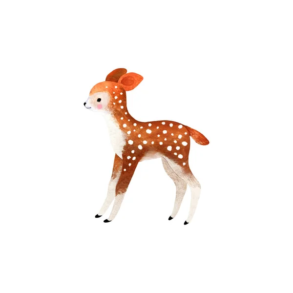 Cute Naive Watercolor Baby Deer Isolated White Background Your Design — Stock Photo, Image