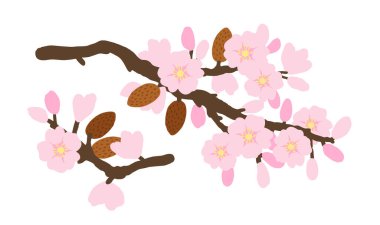 Vektör. Tekstil, kartpostallar, afişler, el ilanları ve diğerleri için badem brunch ile çiçek düzenleme şablonu. 