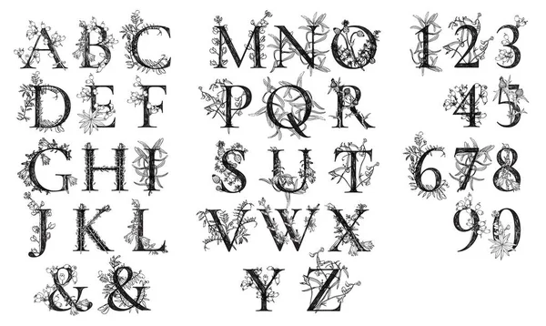 Tasarımınız için yabani çayır çiçekleri oymalı zarif vektör monogramları.