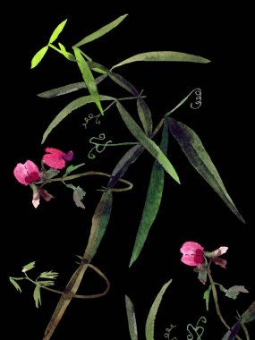 Suluboya botanik sanatıyla birlikte kartpostal basmaya hazır. Pankart, kartpostal, broşür ve diğerleri için el çizimi çiçek unsurları ile moda tasarımı.