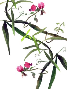 Mesajlı ve suluboya botanik resimli kartpostal basmaya hazır. Pankart, kartpostal, broşür ve diğerleri için el çizimi çiçek unsurları ile moda tasarımı.