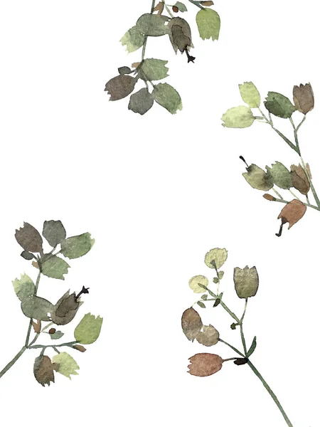 Készen Áll Képeslap Nyomtatására Akvarell Botanikus Művészettel Trendi Tervezett Illusztráció — Stock Fotó