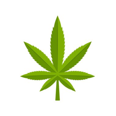 Beyaz arka planda marihuana keneviri yaprağı var. Tıbbi kenevir. Vektör deposu