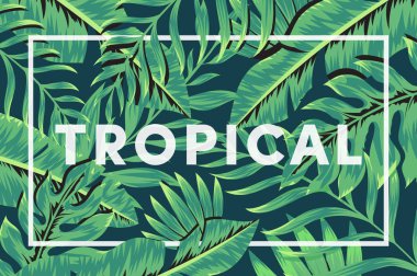 Tropikal bitki ve yaprağın moda arka planı. Tropik yapraklar arka plan. Yaz mevsimi tropikal palmiye çiçekleri, yeşil yapraklı muz yaprakları.