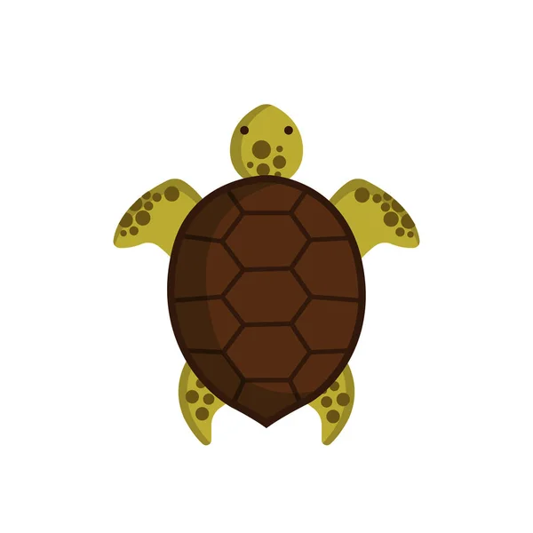 Schildpad Bovenaanzicht Geïsoleerd Witte Achtergrond Schildpad Pictogram Mariene Levensconcept Vectorvoorraad — Stockvector