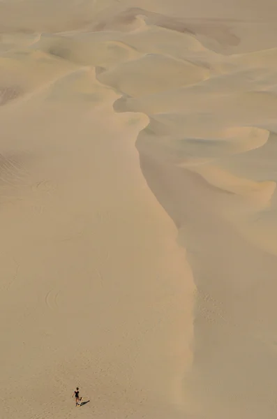 Sand-boarding fun on Atacama Desert, Oasis of Huacachina, Ica Region, Peru