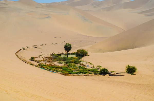 Oasis de Huacachina en el desierto de Atacama, Región de Ica, Perú — Foto de Stock