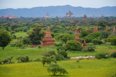 Bagan, Myanmar tapınakları