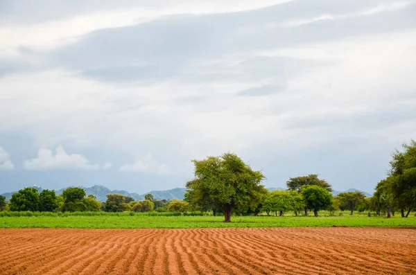 sürülmüş alana ve yeşilliklerle, tarım manzara