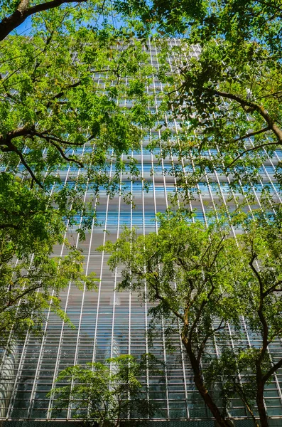 Singapur şehir merkezi