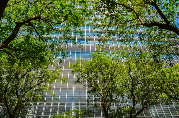 Centro de la ciudad de Singapur — Foto de Stock