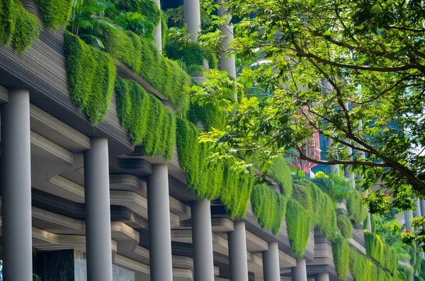 Arquitetura moderna e jardins verticais de Singapura — Fotografia de Stock