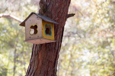 Bir ağaçta kuş besleyiciler.