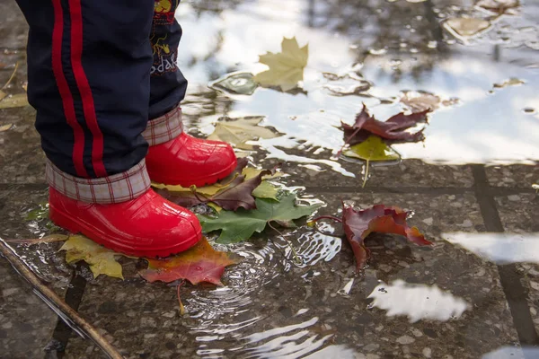 孩子的腿在红色橡胶靴子踩通过一个水坑. 免版税图库照片
