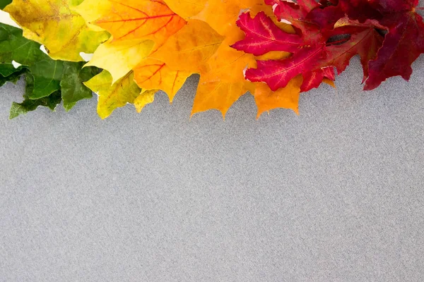 多彩色枫叶在坯布上从顶部的 fr 免版税图库照片