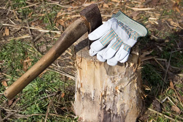 Old ax and old gloves on a stump.