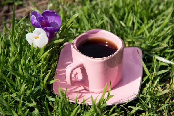 在两个鲜花和绿草茶碟咖啡粉色的茶杯 图库图片