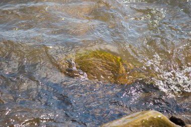 kayaların üzerinden akışlı su.
