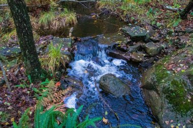Norveç 'te küçük şelale.