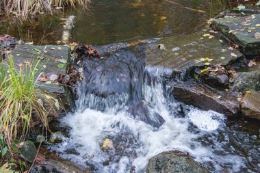 Norveç 'te küçük şelale.