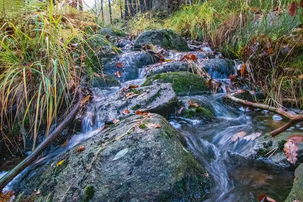 Norveç 'te küçük şelale.