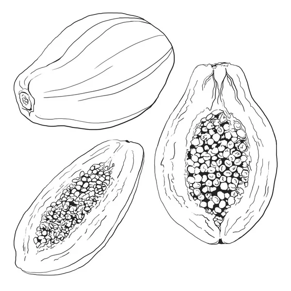 Resimde papaya meyve grafik
