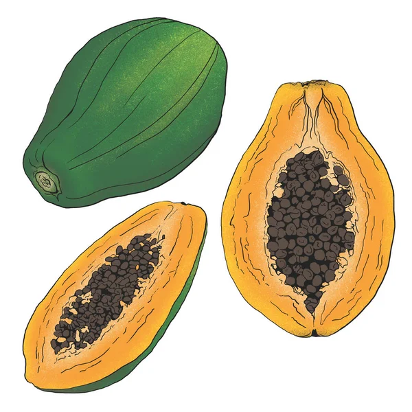 Resimde papaya meyve renkleri