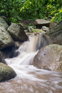 şelale yağmur sonra. şelale orman.