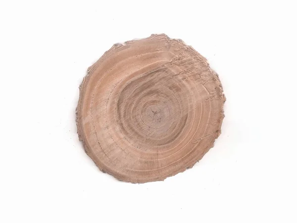 The structure of the tree cutting, wooden stump. Round cut down tree with annual rings as a wood texture.