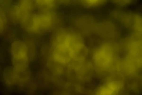 Ormandaki yeşil bokeh arka plan