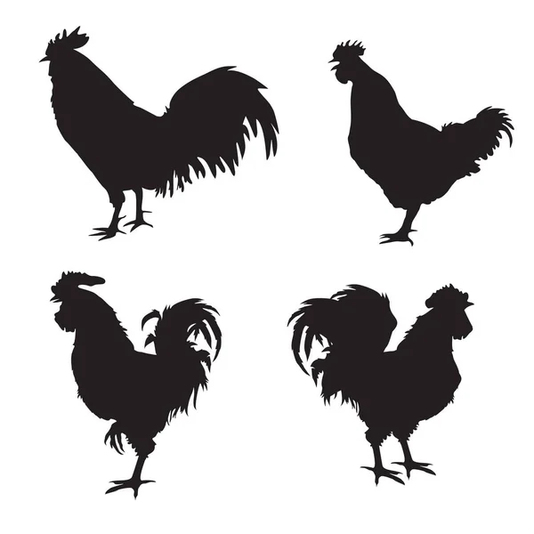 Siluetas de gallo en vector — Vector de stock