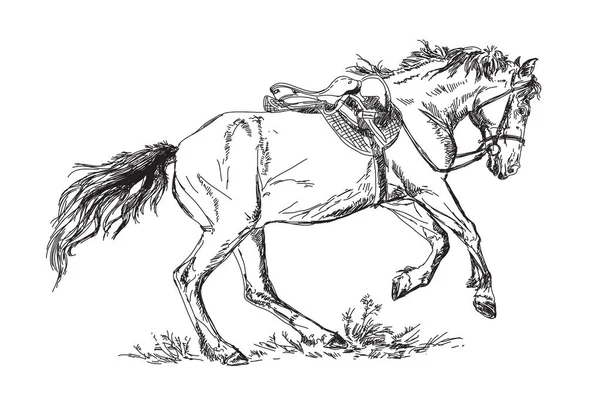Vecteur Mustang au galop — Image vectorielle