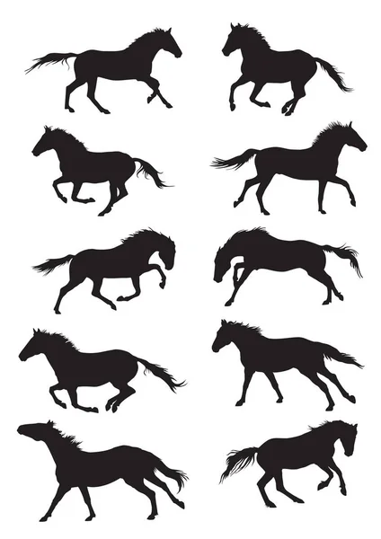 Conjunto de cavalos vetores silouettes — Vetor de Stock