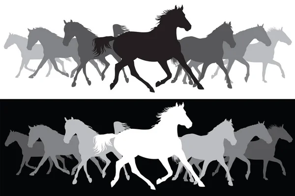 White and black Trotting horses silhouette background — Stock Vector