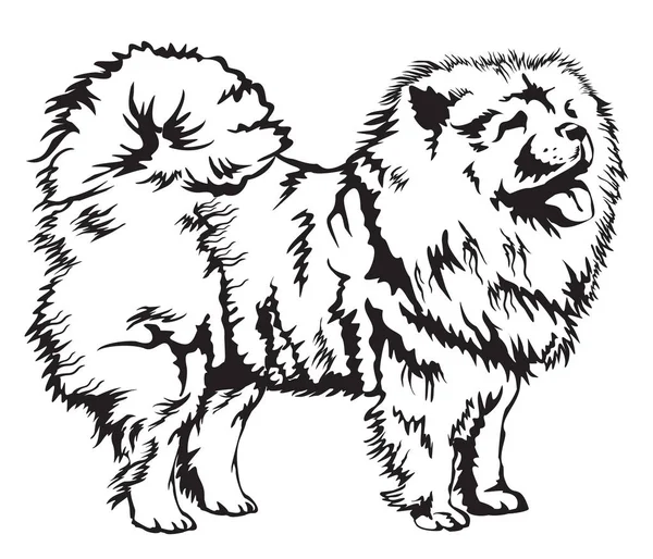 Decoratieve Chow Chow vectorillustratie — Stockvector