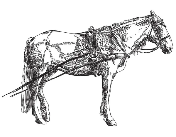 Ilustración de dibujo a mano de caballo — Archivo Imágenes Vectoriales