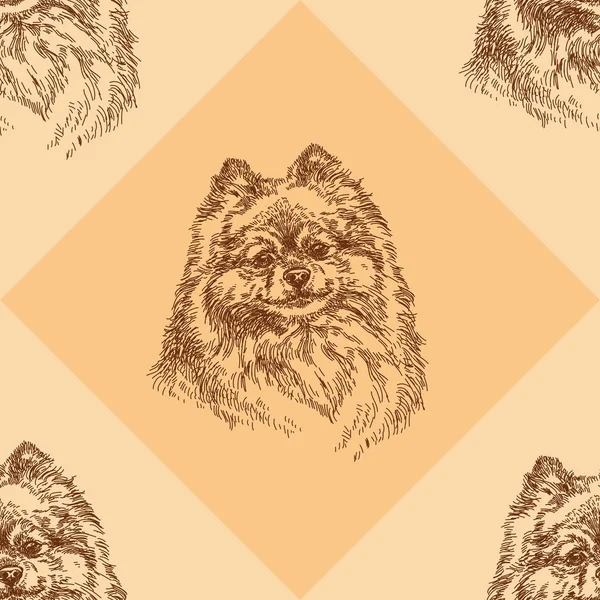 Seamless pattern with small Pomeranian on orange background — Stock Vector