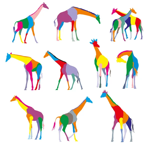 Uppsättning färgglada silhuetter av giraffer — Stock vektor