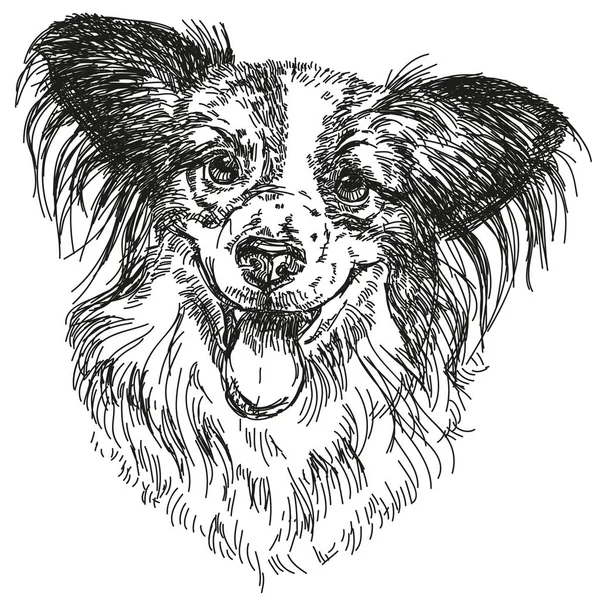 Papillon ritratto vettore mano disegno illustrazione — Vettoriale Stock