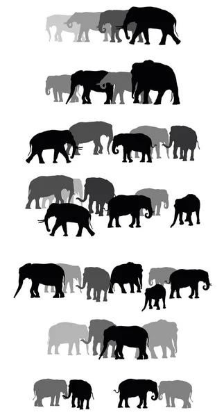 象のベクトル群のセット — ストックベクタ