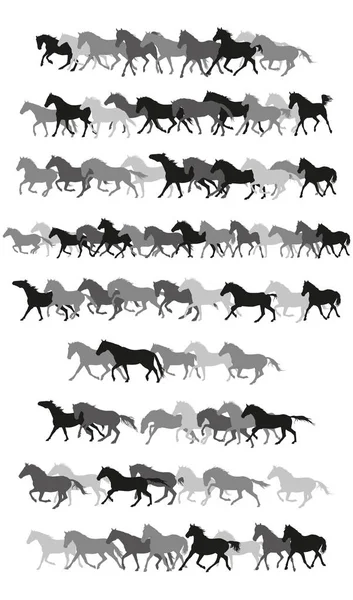 Set of vector horses silhouettes in black and grey — Stock Vector