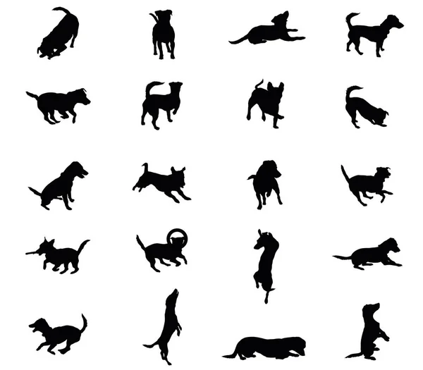 Juego de siluetas vectoriales para perros — Vector de stock