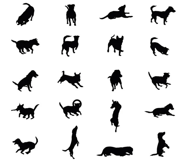 Sada vektorové siluety psů — Stockový vektor