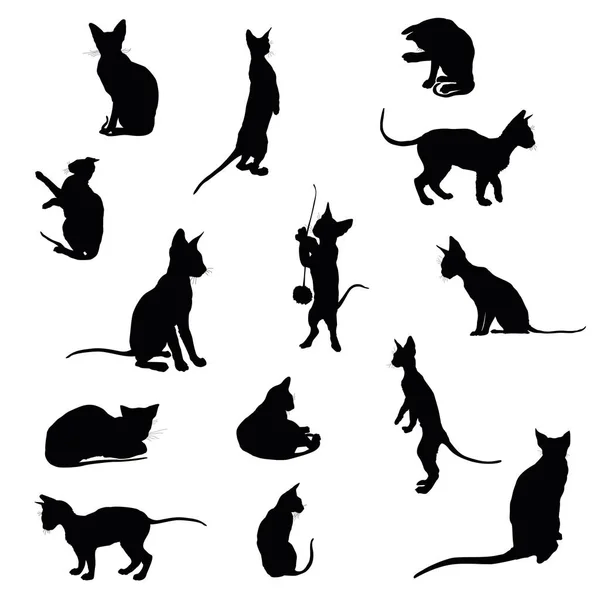 Set of cats silhouettes — Stock Vector