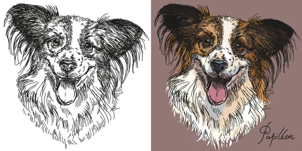 Vector Papillon chien en noir et blanc et coloré — Image vectorielle