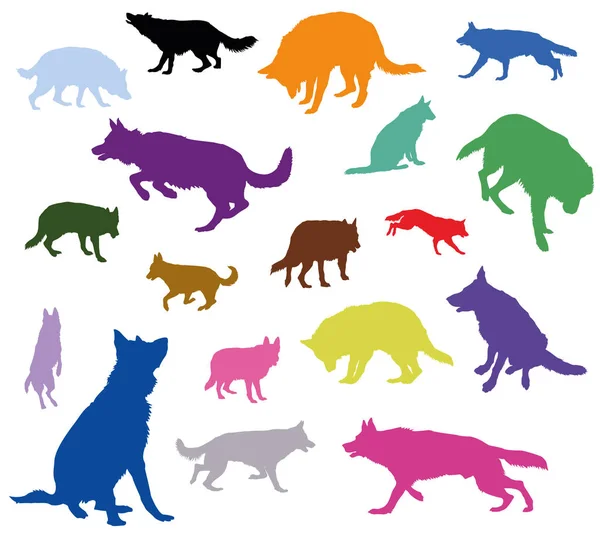 Sæt af vektorhunde i forskellige farver – Stock-vektor