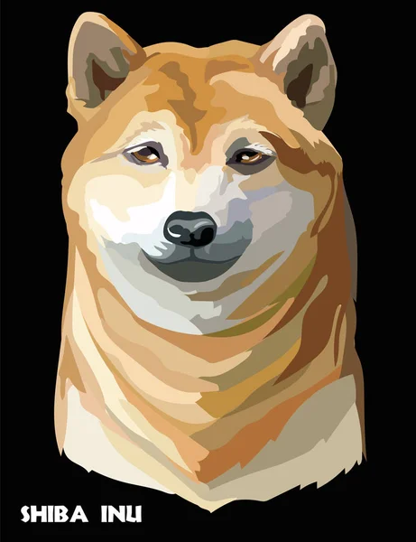 Kolorowe pies Shiba Inu portret wektor — Wektor stockowy