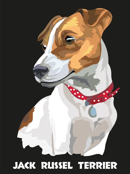 Renkli vektör Jack Russel terrier — Stok Vektör